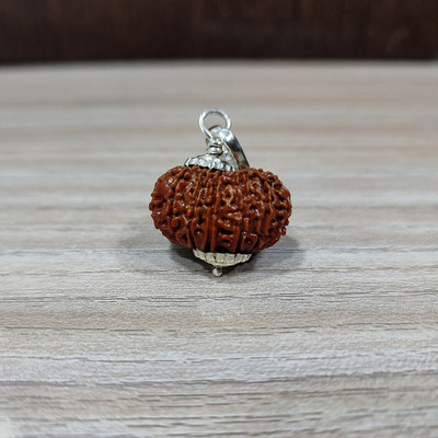 RatanBazar 14 mukhi Rudraksha Silver Plated Pendant | Natural & certified Rhodium Wood Pendant