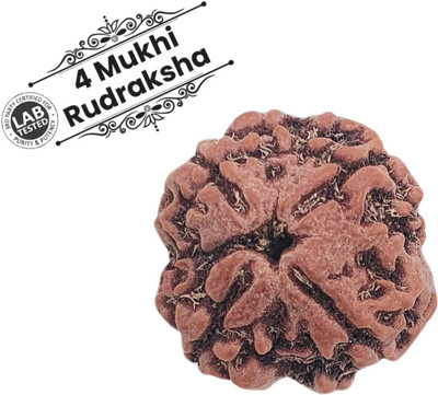 Kripalu store 4 Mukhi Rudraksha Certified/Original 4 Mukhi Rudraksh/Natural 4 Faced Rudraksha Beads Wood Locket