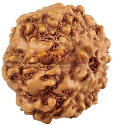 Beautum 7 MUKHI INDONESIAN RUDRAKSHA FOR MEN AND WOMEN Wood Pendant