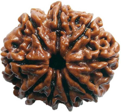 house of common 9 MUKHI RUDRAKSHA Pendant/Locket Wood Pendant