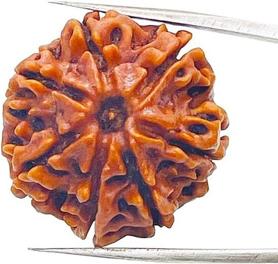 Divine rudras rudraksha pandent Silver Wood Pendant Set