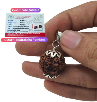 Kuttumb Gems & Jewels six Mukhi Rudraksha Certified/Original Nepali 6 Mukhi Rudraksh/Natural 6 Faced Silver Beads Brass, Wood Locket Set