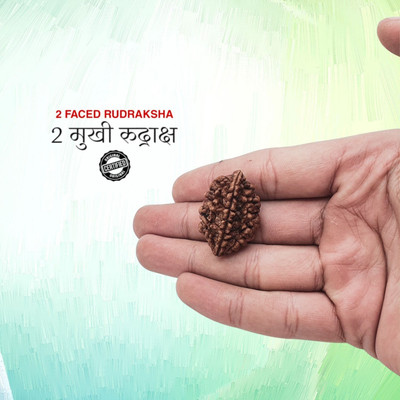 FLY PL STORE Brown Wood 2 Mukhi /2 Face Rudraksha with Lab Certificate for Men and Women Beads Wood Pendant
