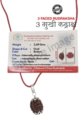 LOTUS Store 3 Mukhi Nepali Rudraksha three Faced Rudraksha Lab Test Certificate Silver Brass Pendant Set