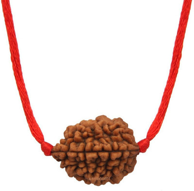 Astrodidi 2 Mukhi Rudraksha Two Face Pendant With Lab Report Original Wood Pendant