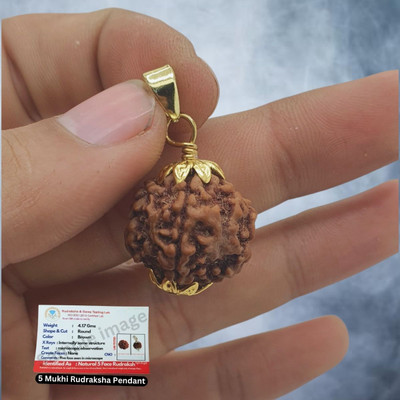 BHAKTI Kripalu Store Real Five Faced Rudraksha 5 Mukhi Rudraksha Pendant in Gold-plated Beads Brass, Wood Pendant Set