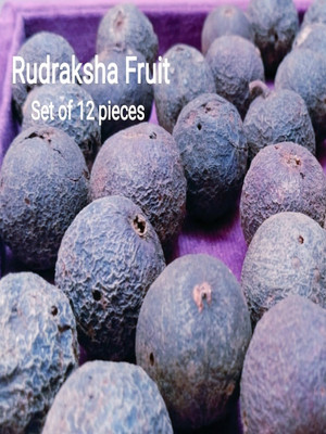 VIDHAN ART Rudraksha Fruit Nepali Rudraksha Fal/Phal Wood Pendant
