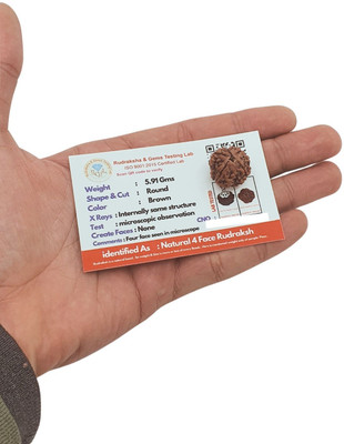 Hindustan Jewellery Nepali 4 Mukhi Rudraksha Original Certified 4 Faced/four Face Rudraksh Beads Beads Wood Locket