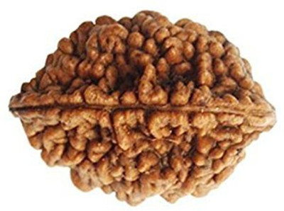 Kripalu store 2 Mukhi Rudraksha / Two Faces Rudraksha With Original Lab Certified. Wood Locket Wood