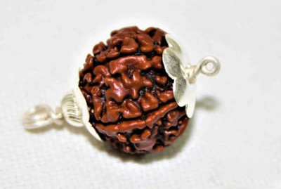 CRGO -ASD®12 Mukhi Rudraksha Nepal Holy Brown Bead Pure--5-PIECE--263 Wood Locket