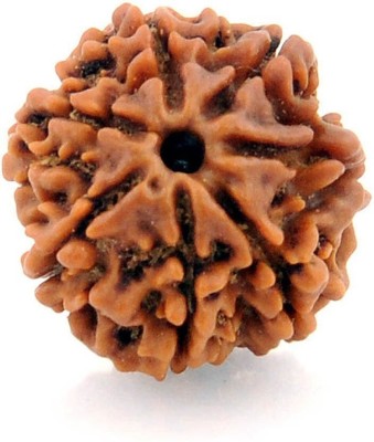 HAPPY CREATION Rudraksha Beads Wood Pendant