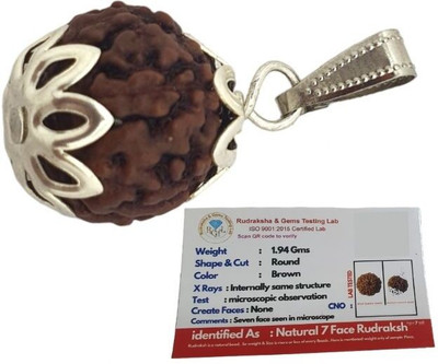 HAPPY CREATION Satmukhi 7 Mukhi Rudraksha Original Original 7 Face Saat Mukhee Rudraksha Silver Wood Locket Set
