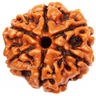 HAPPY CREATION 6 Mukhi Rudraksha Wood Pendant