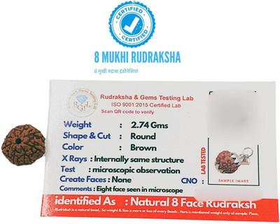 Bondwal Trendz 8 Mukhi Rudraksha with Pendant for Men & Women Original Certified eight Faced Beads Wood Pendant