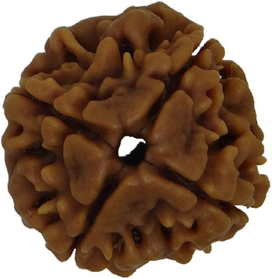 Jewelswonder 4 Mukhi Rudraksha Nepali with Lab Certificate Wood