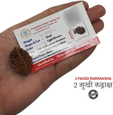 AstroVidhanart Original 2 Mukhi Rudraksha with Certificate Beads Wood Locket