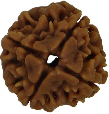 Arya Hawan Samagri 4 Mukhi/Faced Nepali Rudraksha | Natural Astrological Four Mukhi/Faced Rudraksha Wood Locket