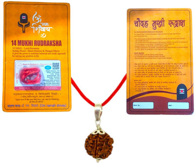 house of common 14 Mukhi Nepali Rudraksha Fourteen Faced Rudraksha With Lab Test Certificate Sterling Silver Wood