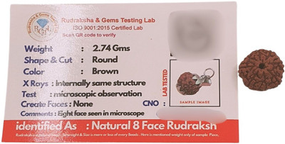 Hindustan Jewellery 8 Mukhi Rudraksha Original Java Indonesian | eight Face Rudraksha Wood Locket