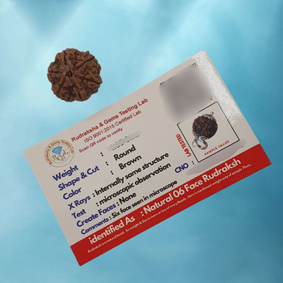 Lazy Collection Natural 6 Mukhi Rudraksha six Faced Rudraksha Metal Cap Beads Wood Locket Set