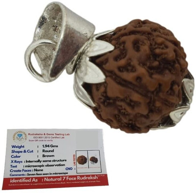 PLUYBaba Samagri 7 Mukhi Rudraksha Seven Face Rudraksha Nepali Rudraksha Code:1 Silver Wood Pendant Set
