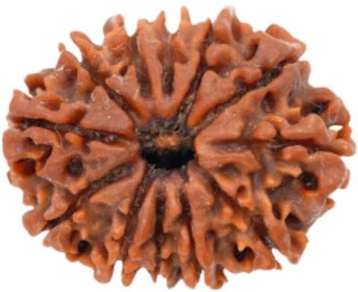 DIVINE HINDU 12 Mukhi Original Nepali Rudraksha Bead - Symbol of Divine Power Lab Certified Wood Pendant