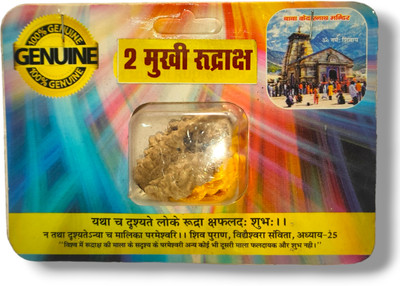 RUDRAKSH 2 mukhi rudraksha indonesia Wood Pendant