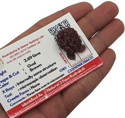 Hindustan Jewellery Nepali 3 Mukhi Rudraksha Original Certified 3 Faced/three Face Rudraksh Beads Wood Locket