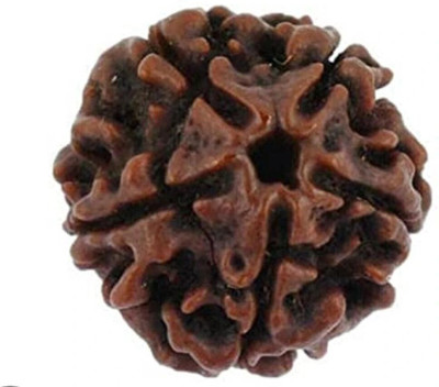 Trishakti Punch Mukhi Original Rudrakash Bead Silver Wood Pendant