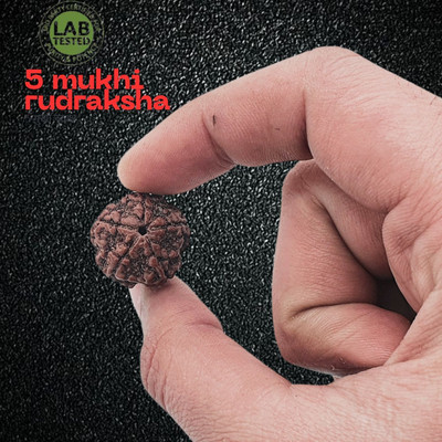 MELA BRITE 5 Mukhi Rudraksha Five face Panchmukhi Rudraksha Nepali with Lab Certificate Beads Wood Pendant Set