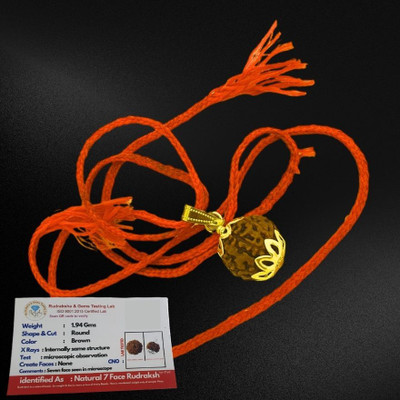 Fine Creation Original 7 Mukhi Rudraksha Seven Face Rudraksha Metal Cap Nepali Bead Gold-plated Wood Locket