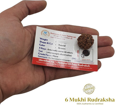 HAPPY CREATION 6 Faced Rudraksha Pendant six-Faced Orignal Pendant For Unisex Beads Wood Locket Set