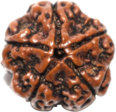 Beautum 5 MUKHI ORIGINAL RUDRAKSHA NEPALI ORIGINAL Wood Pendant