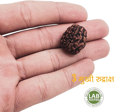 Khushal ENTERPRISE Natural certified 3 Mukhi Rudraksha with detailed & Puja wearing instructions Beads Wood Pendant