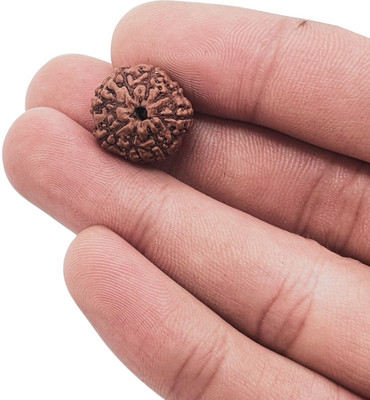 robbanmant Original 8 Mukhi Rudraksha with Certificate Beads Wood Locket Set