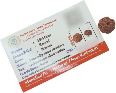 FLY PL STORE 7 Mukhi Nepali Rudraksha Pendant Lab Certified Original with Lab Certification Beads Brass, Wood Locket