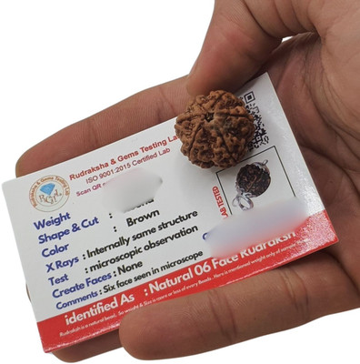 Plus Treasure Lab Certified Natural 6 Mukhi Rudraksha Bead Nepali 6 Face Rudraksha Beads Wood Locket Set