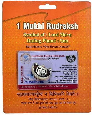 Anandam 1 Mukhi Rudraksha with Silver Capping | Lab Tested & X-ray Certified Wood Pendant