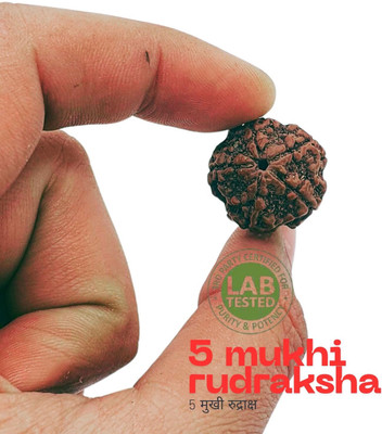 HAPPY CREATION Nepali 5 Mukhi Rudraksha Original Natural Siddha Five Face Rudraksha Beads Wood Locket
