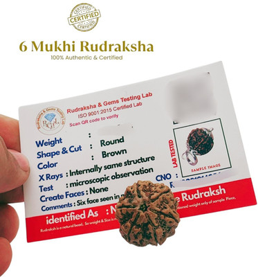 Shade Creation Nepali 6 Mukhi | 6 Faced Rudraksha | Genuine Original Rudraksha Size 12-20mm Beads Wood Pendant Set