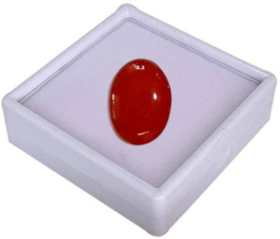 Navdurga Jyotish Kendra Stone