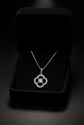 DIVINOOR Silver Cubic Zirconia Stainless Steel Pendant