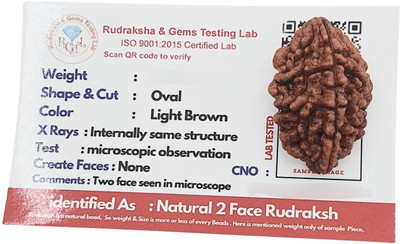 SukhadParivar 2 Mukhi rudraksha / 2 Face Rudraksha Nepali For Unisex Wood Locket Set