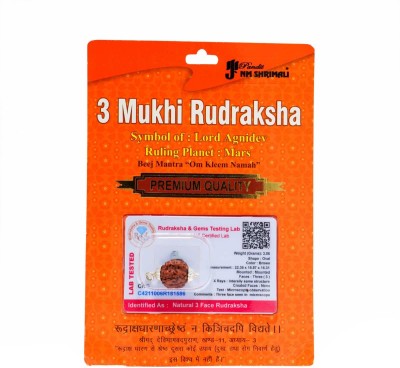 Pandit NM Shrimali 3 Mukhi Rudraksha Original Certified Wood Locket