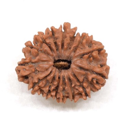 RatanBazar Natural 15 mukhi Rudraksha Beads For Astrology purpose Wood Pendant