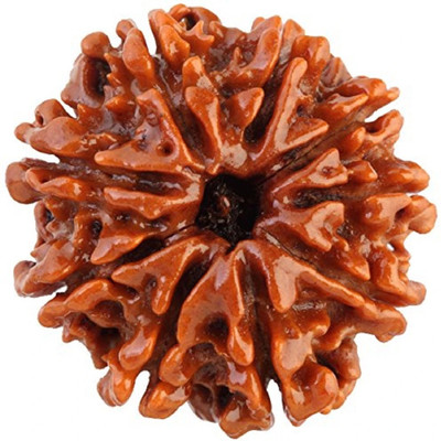 dr. shrimali & astro science Guaranteed Original 9 Mukhi Rudraksha with certificate Wood Pendant
