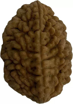 FLY PL STORE Certified/Original Two Mukhi Rudraksha/Natural 2-faced For Men & Women Brass, Wood Pendant
