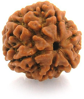 DIVINE SOUVENIRS 6 Mukhi Nepali RUDRAKSHA Original & Certified Six Faced RUDRAKSHA Beads Wood Pendant