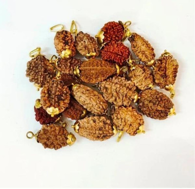 Rudraksham 2 Mukhi Original Nepali Rudraksha Pendant ( Set Of 100) Brass Pendant Set
