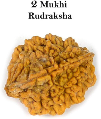 Beautum Original 2 mukhi rudraksha with metal capping Wood Pendant